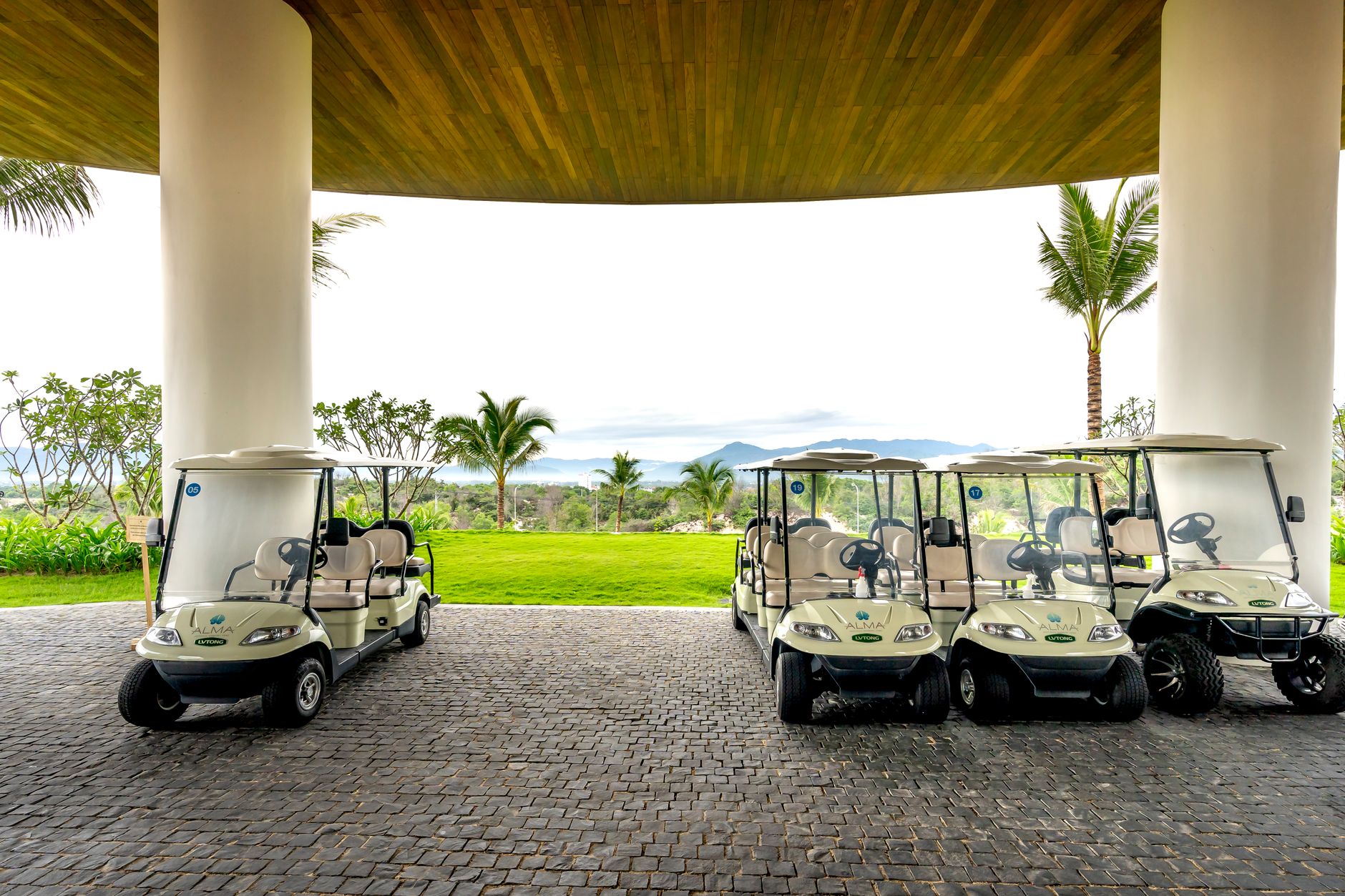 Golf Carts image 1