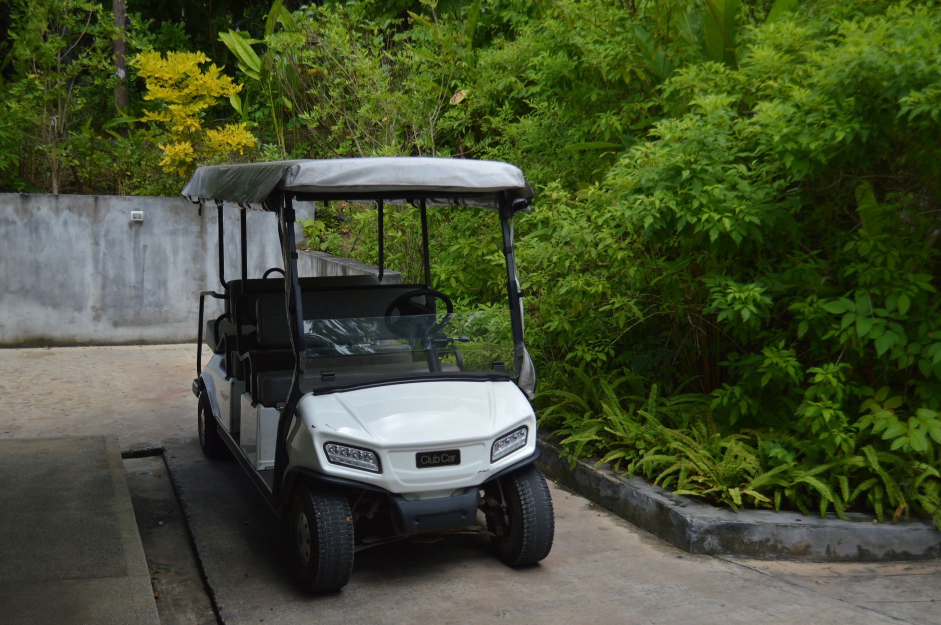 Golf Carts image 3