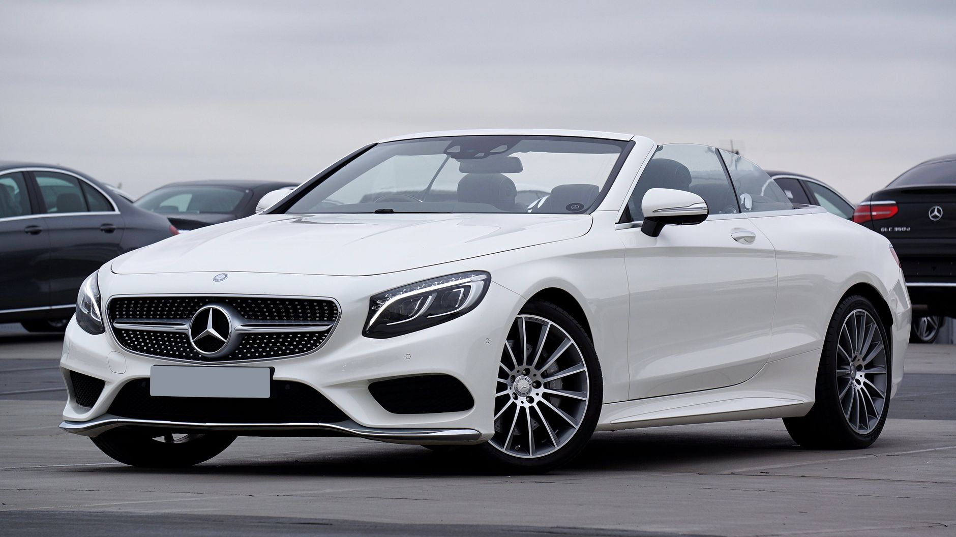 Car Rentals image 1