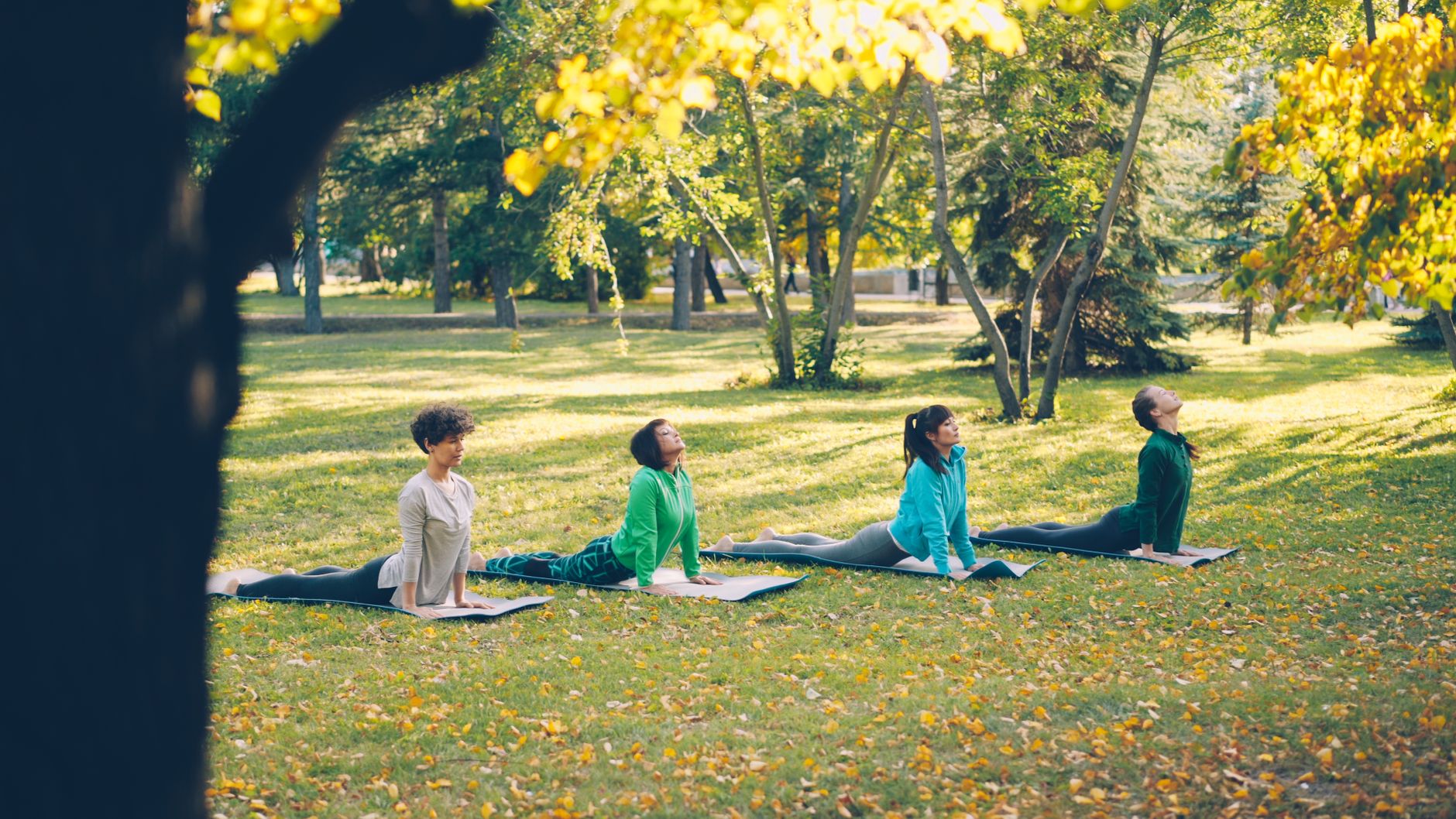 Wellness Classes image 2