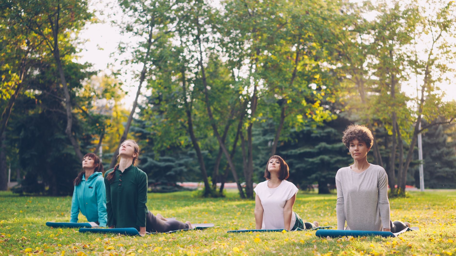 Wellness Classes image 3