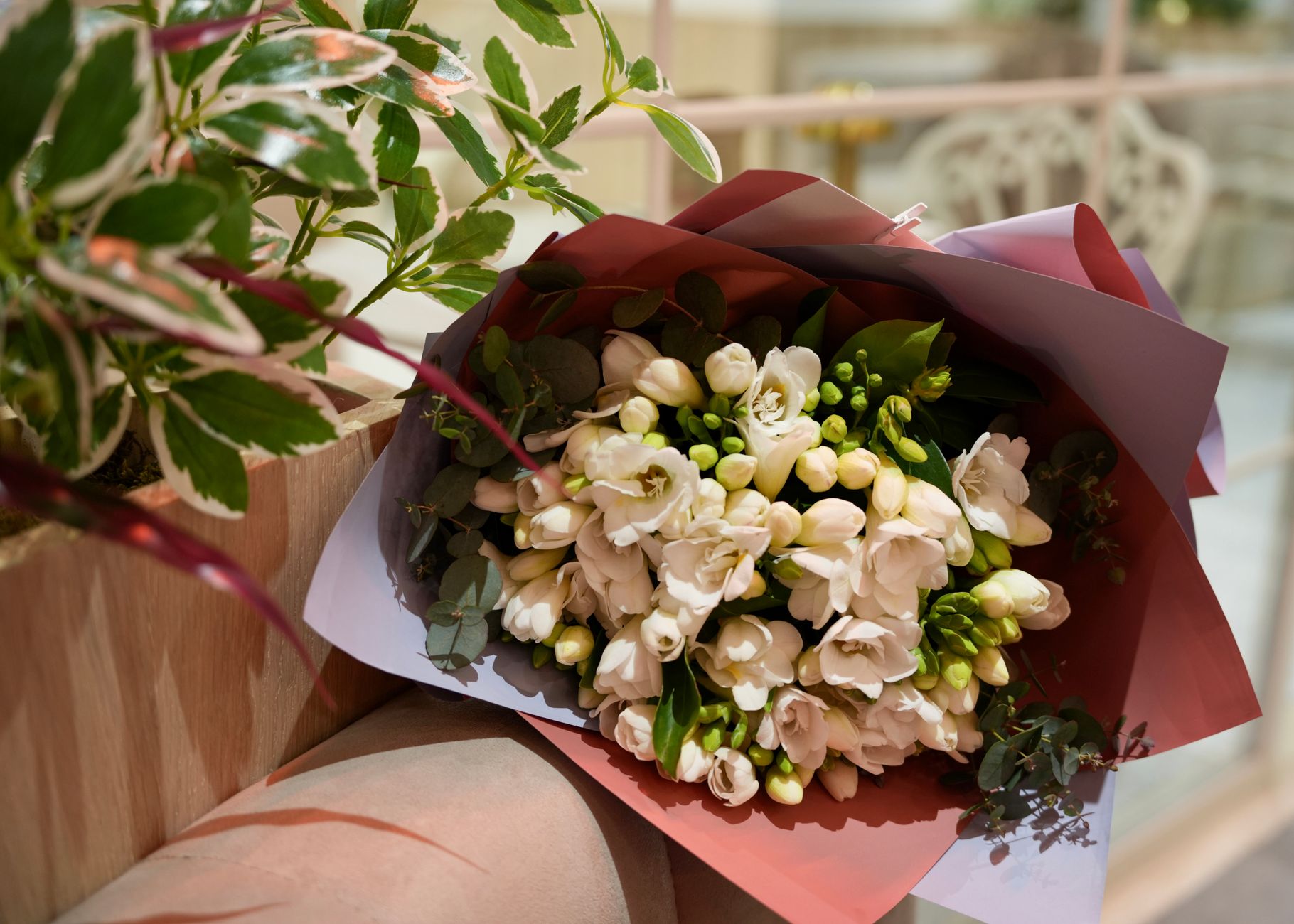 Flowers image 3