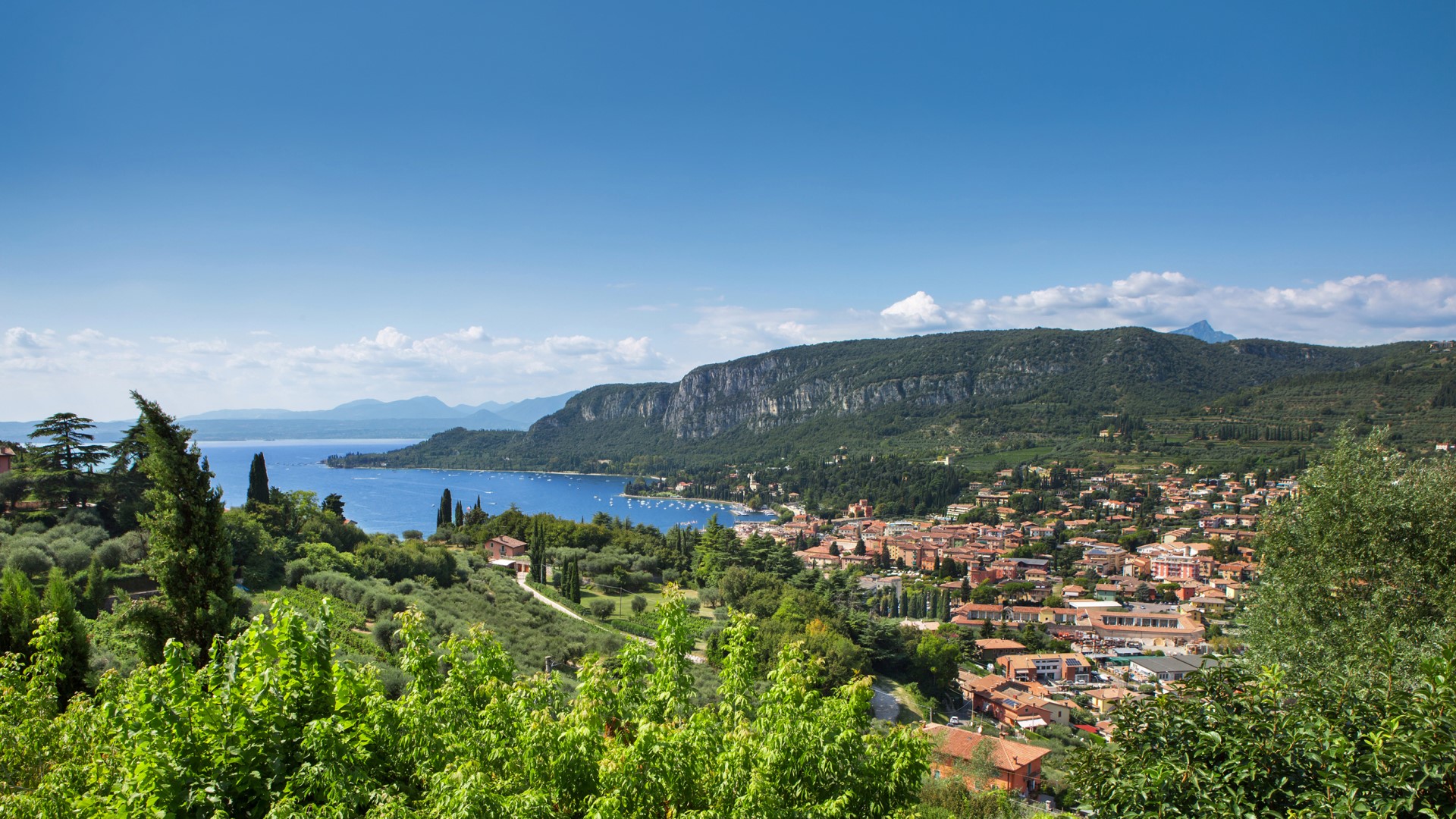 Ca’ Cantoni, Panoramic Lake Garda Country Estate near Verona Gallery 1