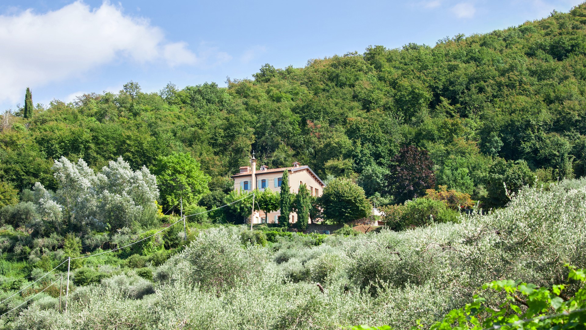 Ca’ Cantoni, Panoramic Lake Garda Country Estate near Verona - Photo 9