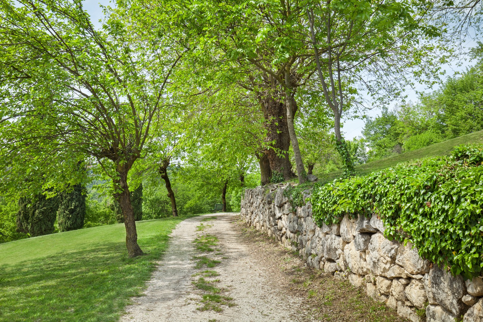 Il Giardino di Sibilia | Elegant Veneto Villa with Pool, Gardens and Stone Cellar Cantina - Photo 14