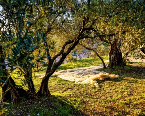 Torre di Paciano 6BR, Historic Umbrian Watchtower Above Lake Trasimeno - Photo 88