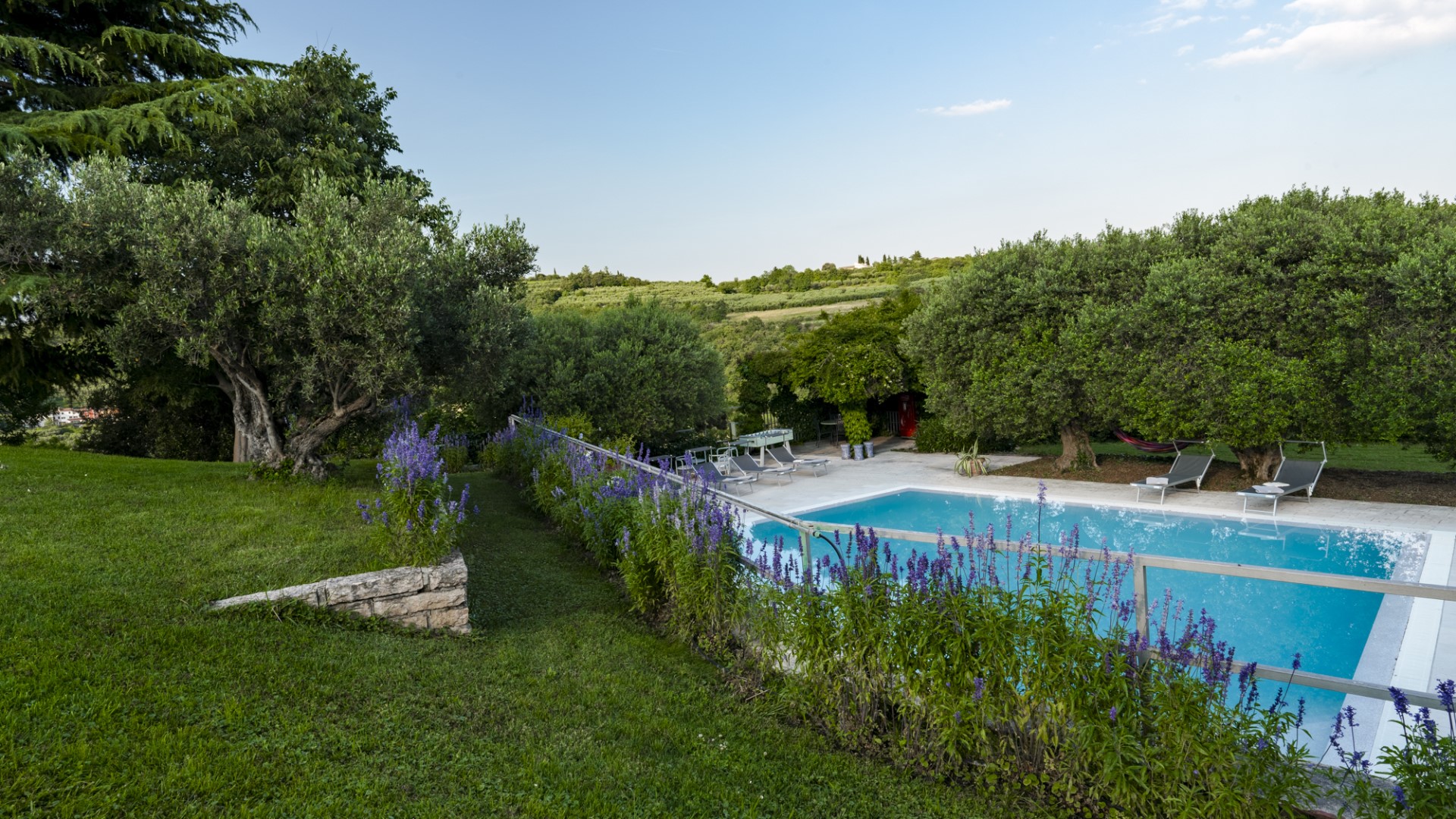 Villa degli Ulivi, Modern Luxury Among Valpolicella Olive Groves Gallery 3