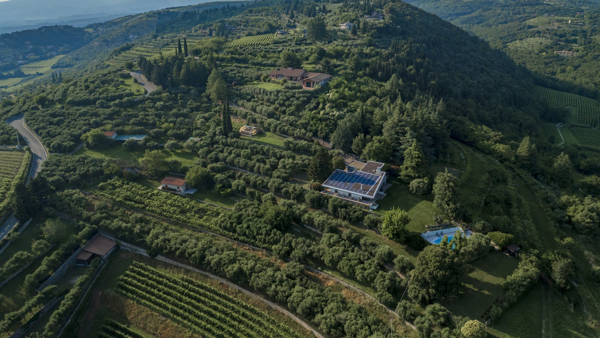 Villa degli Ulivi, Modern Luxury Among Valpolicella Olive Groves - Photo 10