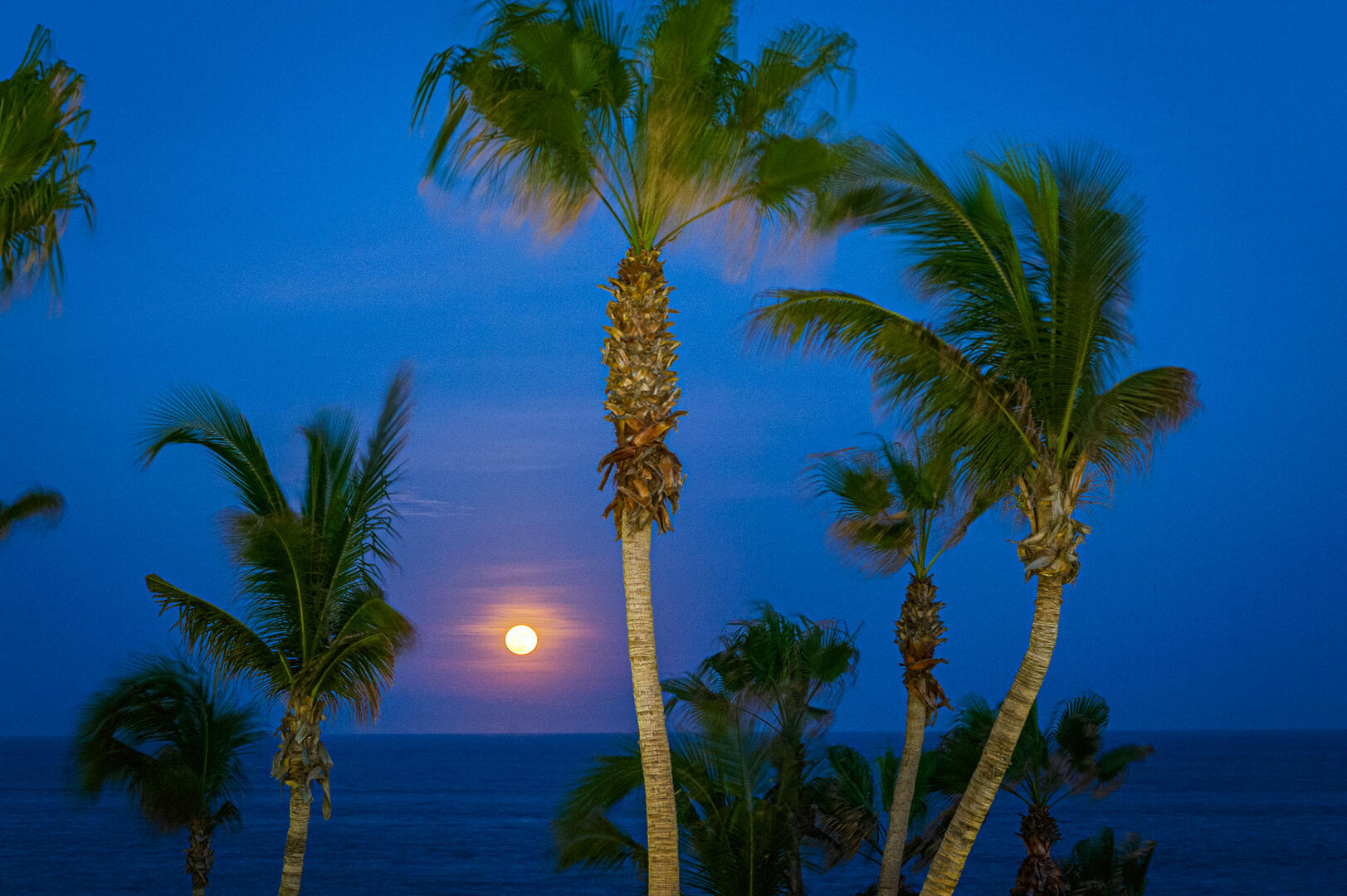 Villas del Mar 212, Ocean View Palmilla Villa with Pool, Jacuzzi and Fire Pit - Photo 6